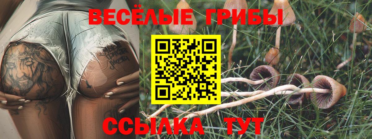 Псилоцибиновые грибы мухоморы  Вход с VPN  Среднеуральск 